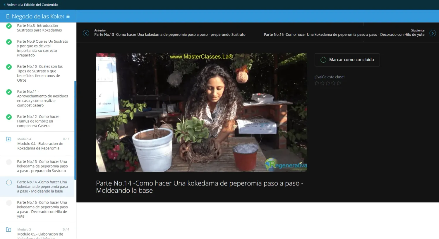 Vista del curso - lección en video
