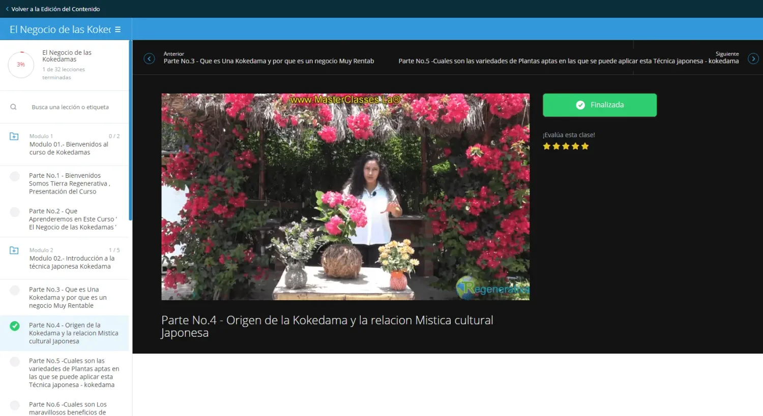 Vista del curso - módulo introductorio