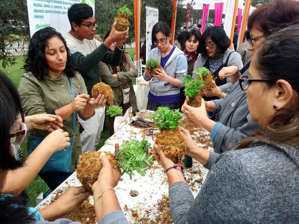 Aprendiendo la técnica de kokedama